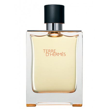 Terre d'Hermès - Eau de Toilette